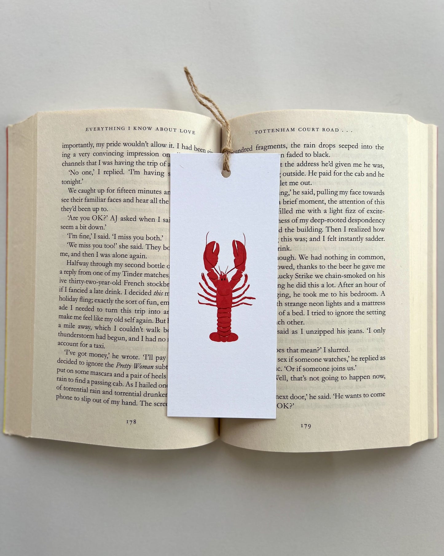 Open book with a red lobster bookmark on a white background