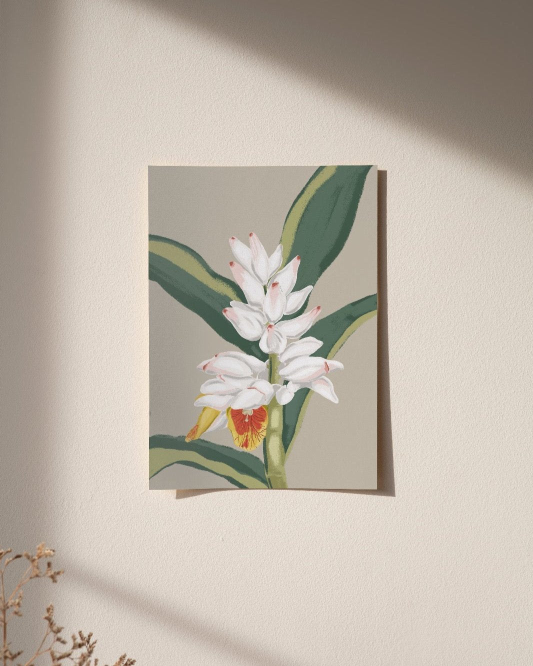 Cardamom | Wall Art