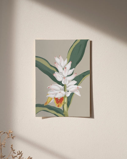 Cardamom | Wall Art