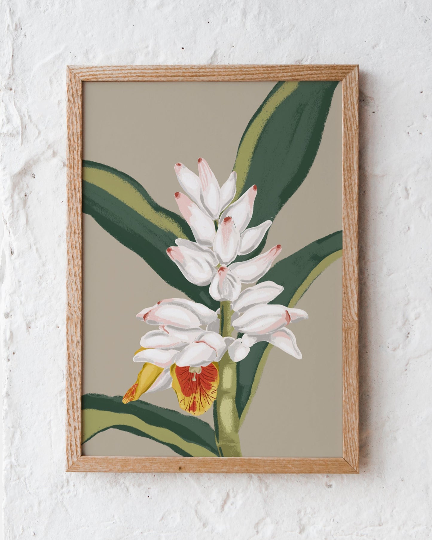 Cardamom | Wall Art
