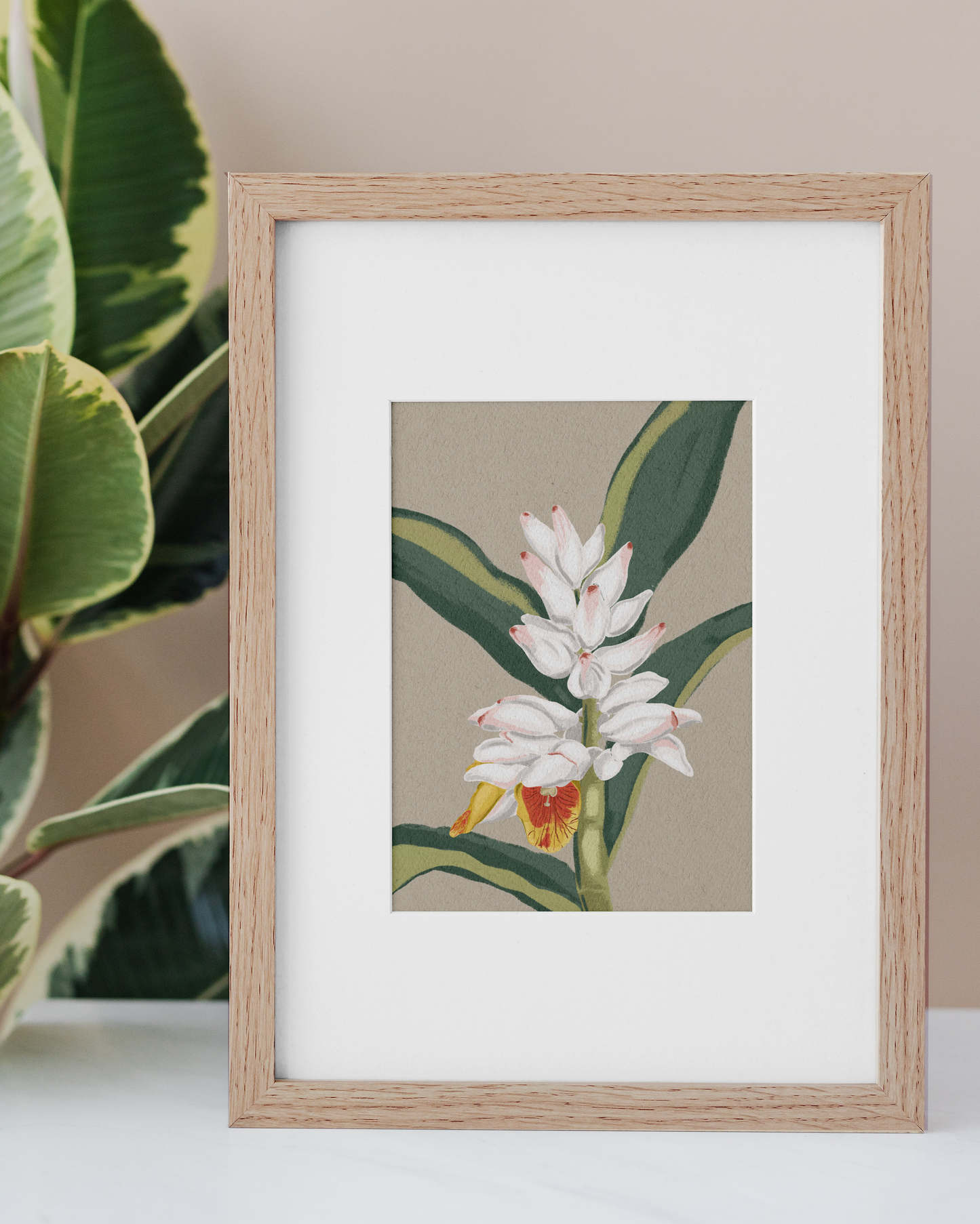Cardamom | Wall Art