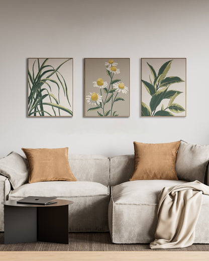 Chamomile | Wall Art