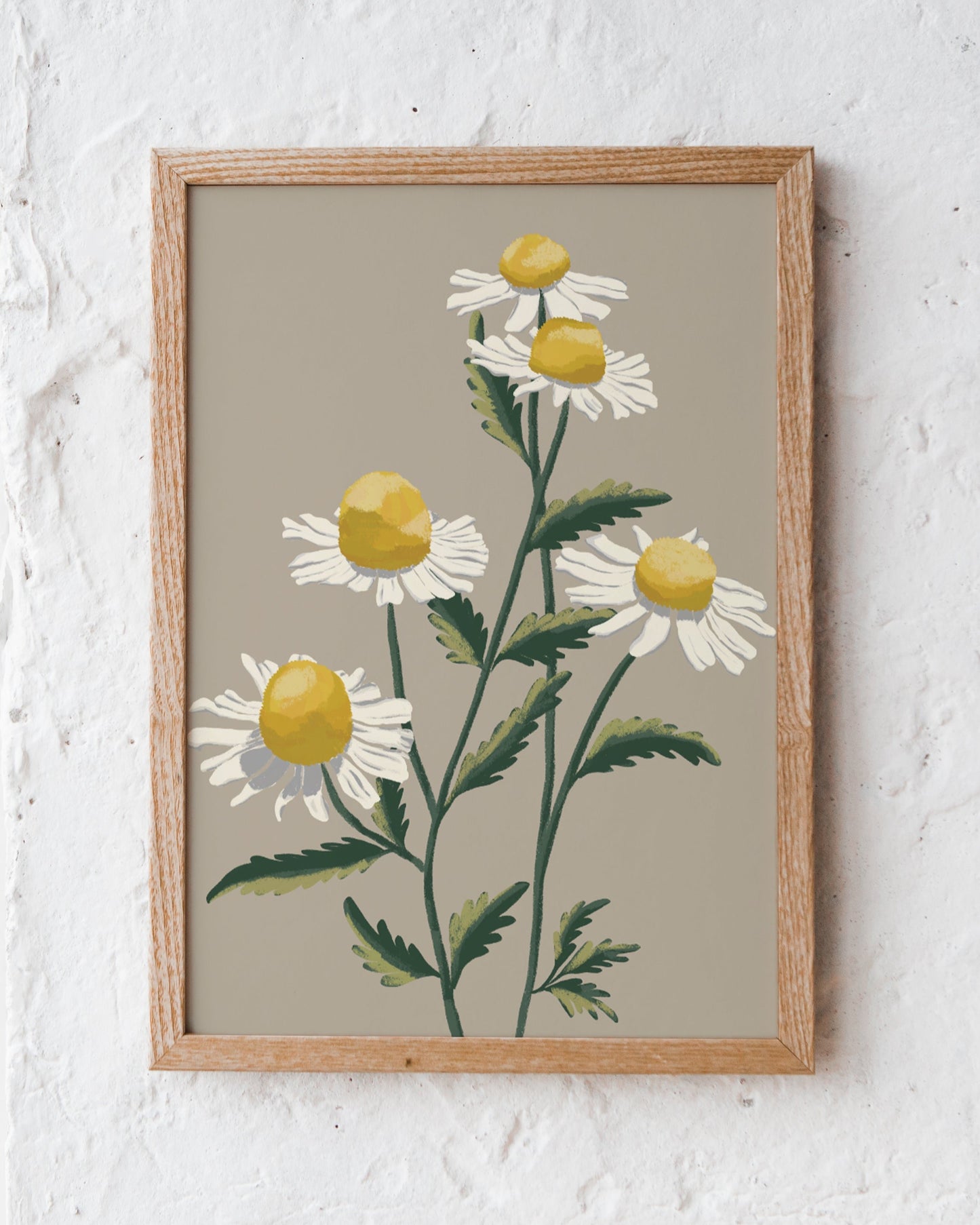 Chamomile | Wall Art