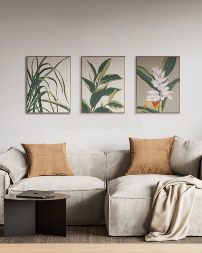 Tea leaves | Wall Art
