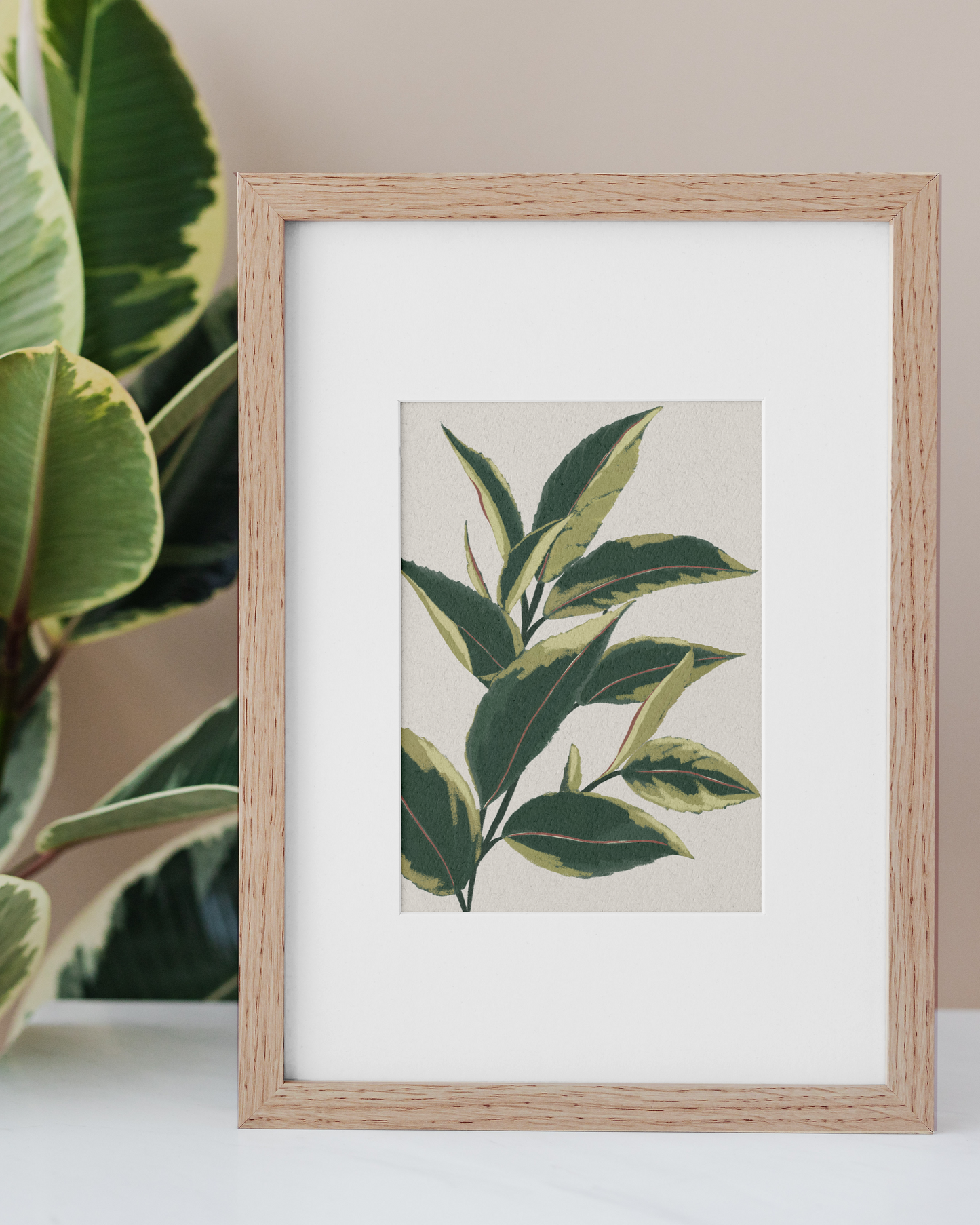 Tea leaves | Wall Art
