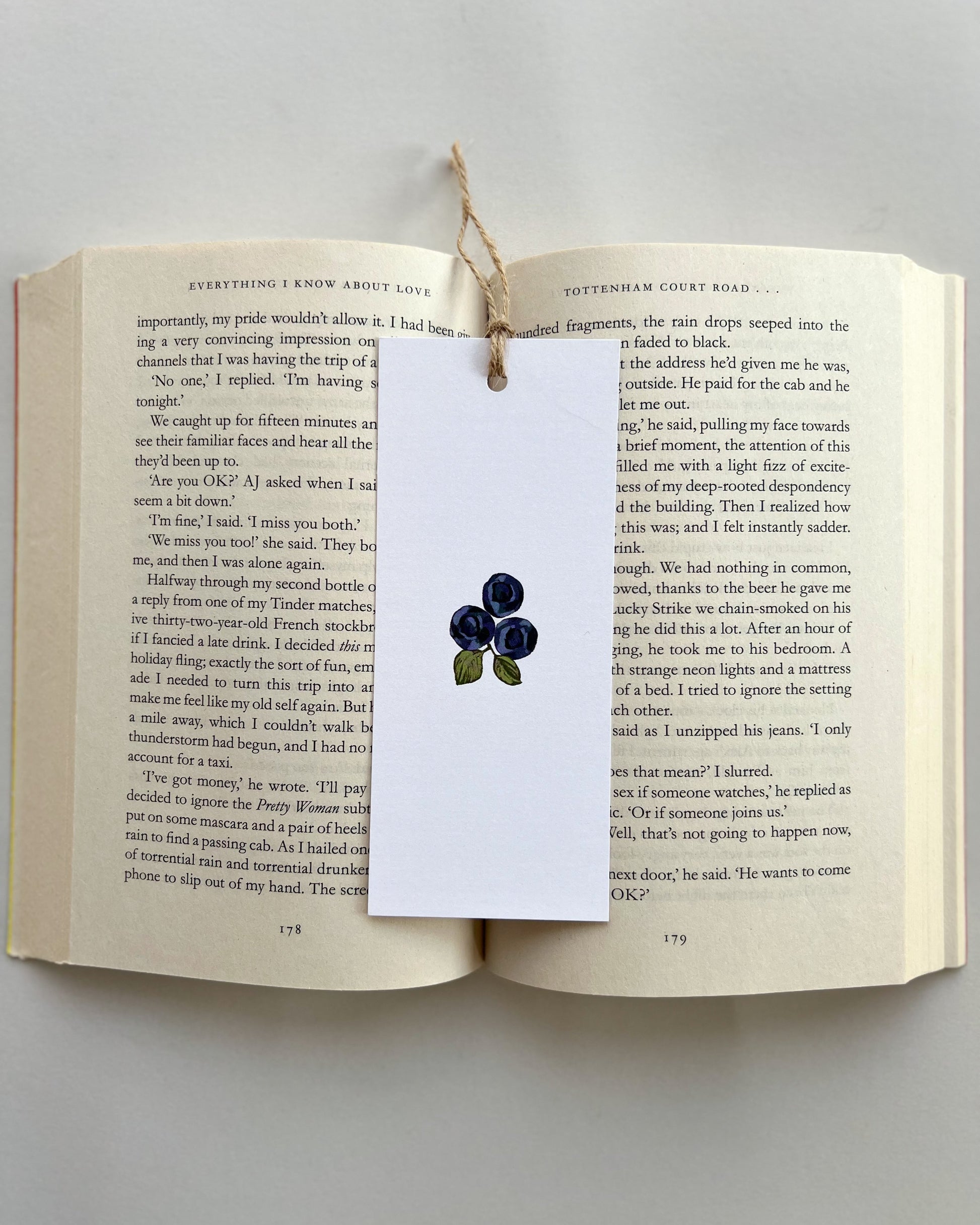 Open book with a bookmark featuring a blueberry illustration on a light gray background