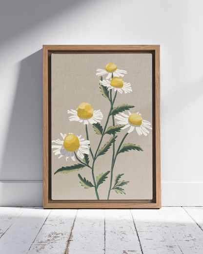 Chamomile | Wall Art
