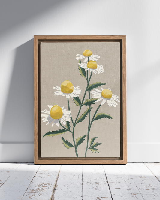 Chamomile | Wall Art