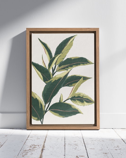 Tea leaves | Wall Art