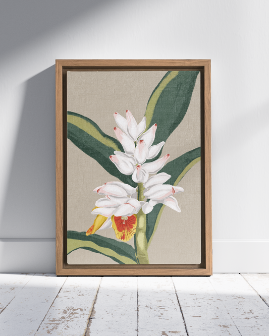 Cardamom | Wall Art