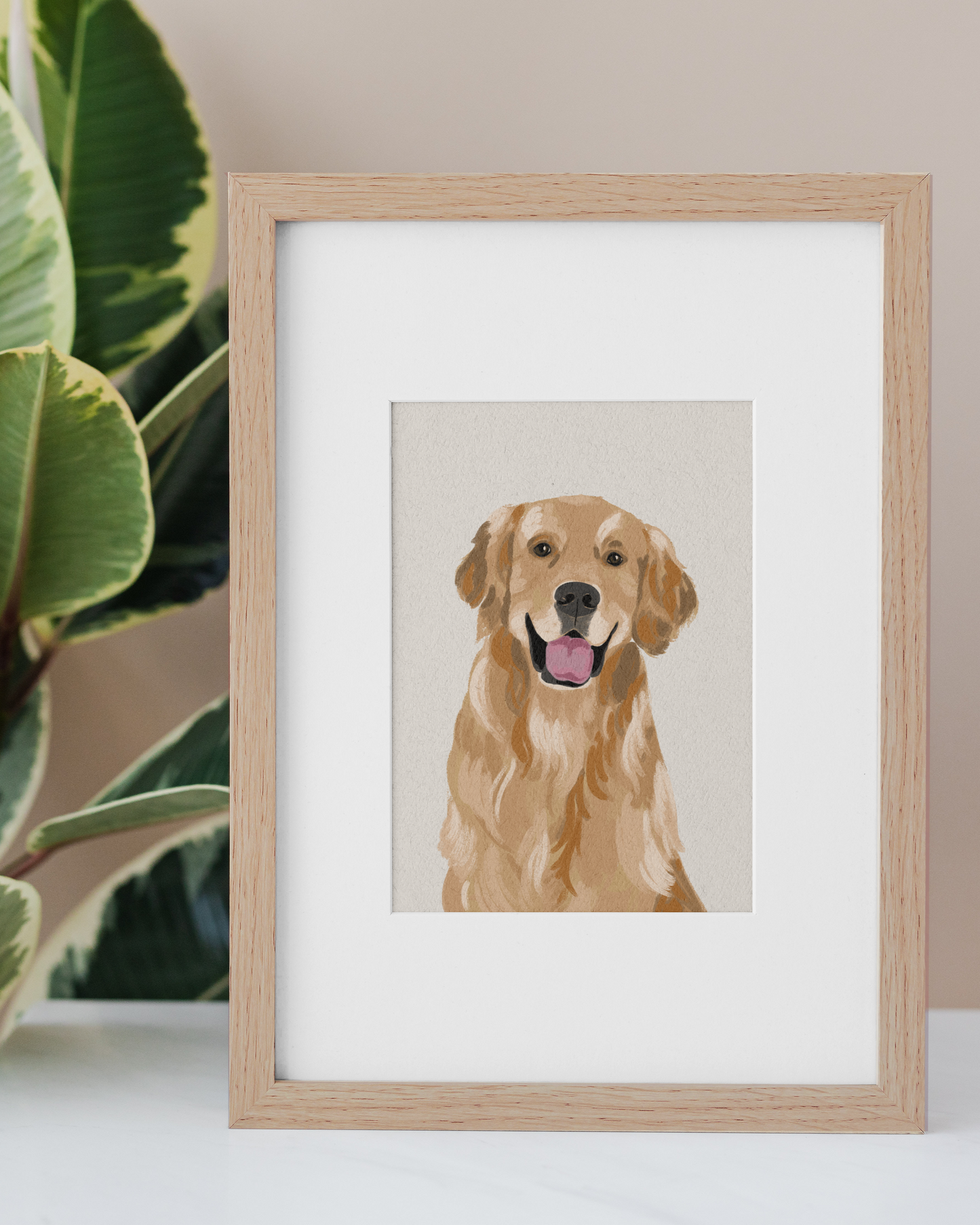Pet Portrait