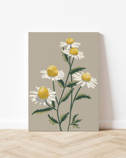 Chamomile | Wall Art