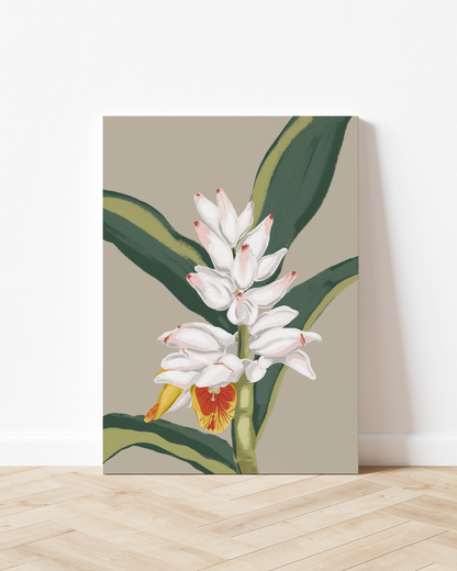 Cardamom | Wall Art