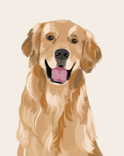 Pet Portrait
