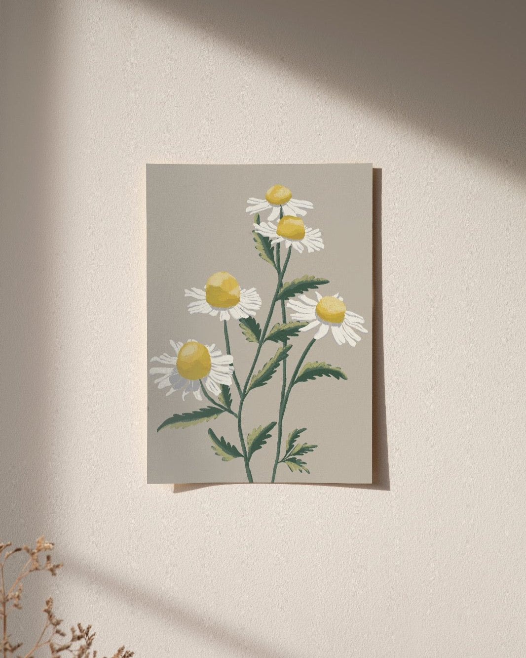 Chamomile | Wall Art